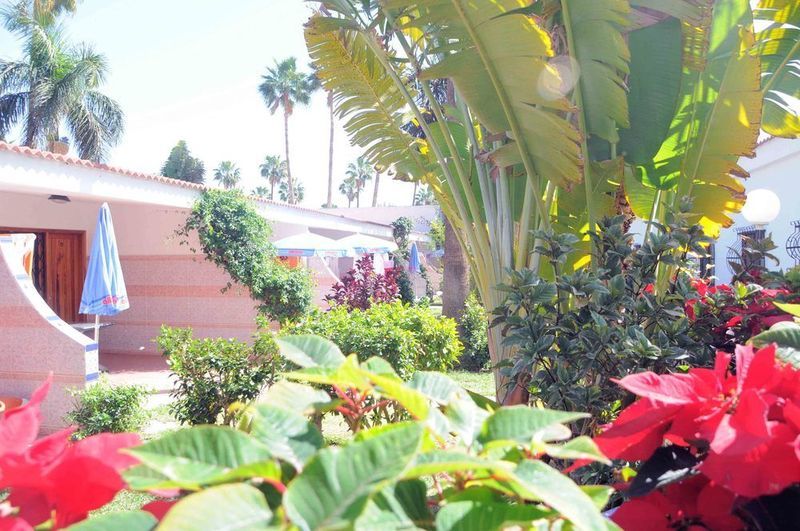 San Valentin & Terraflor Park Hotel Playa del Ingles  Exterior foto